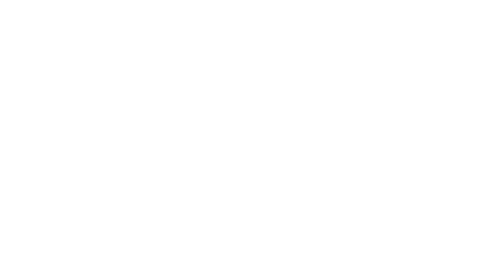 Stonoview Client Logo