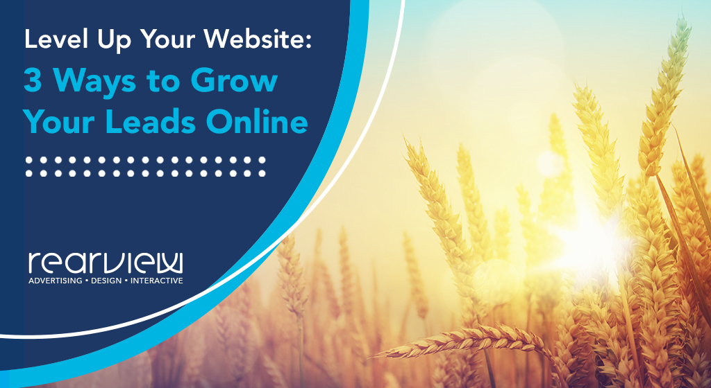 Level Up Your Website: 3 Ways to Grow Your Leads Online