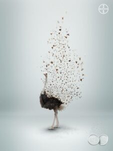 ©AlkaSeltzer Ad